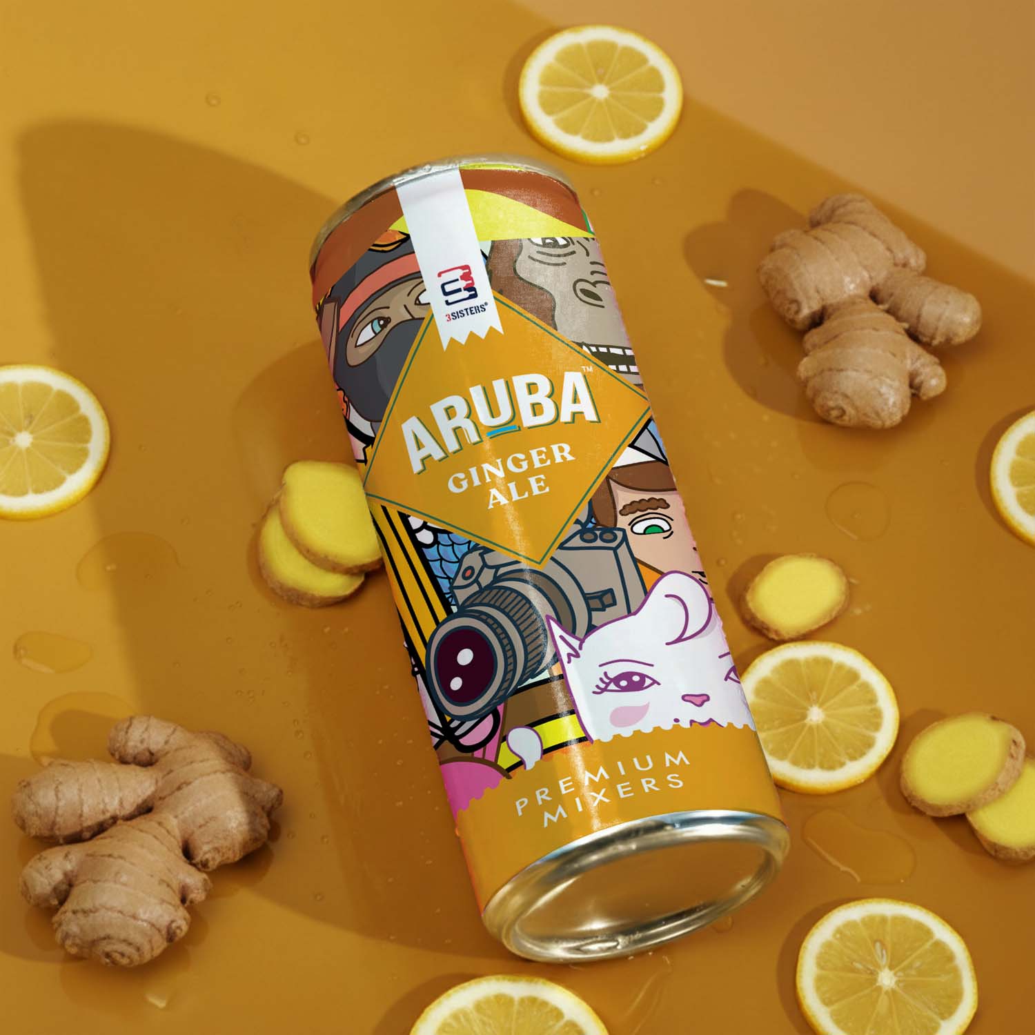 Aruba – Ginger Ale Mixer (12 Cans)
