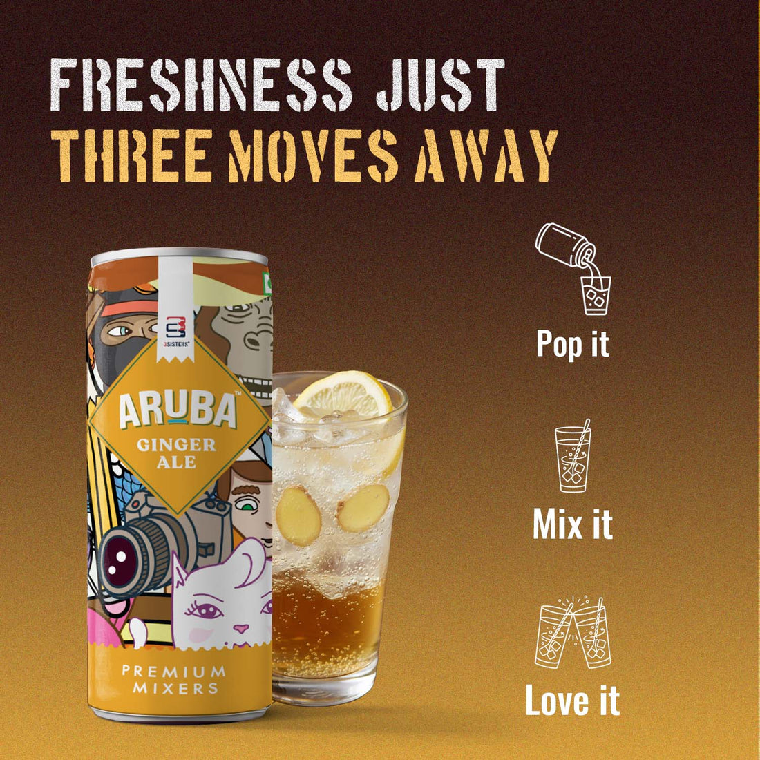 Aruba – Ginger Ale Mixer (12 Cans)
