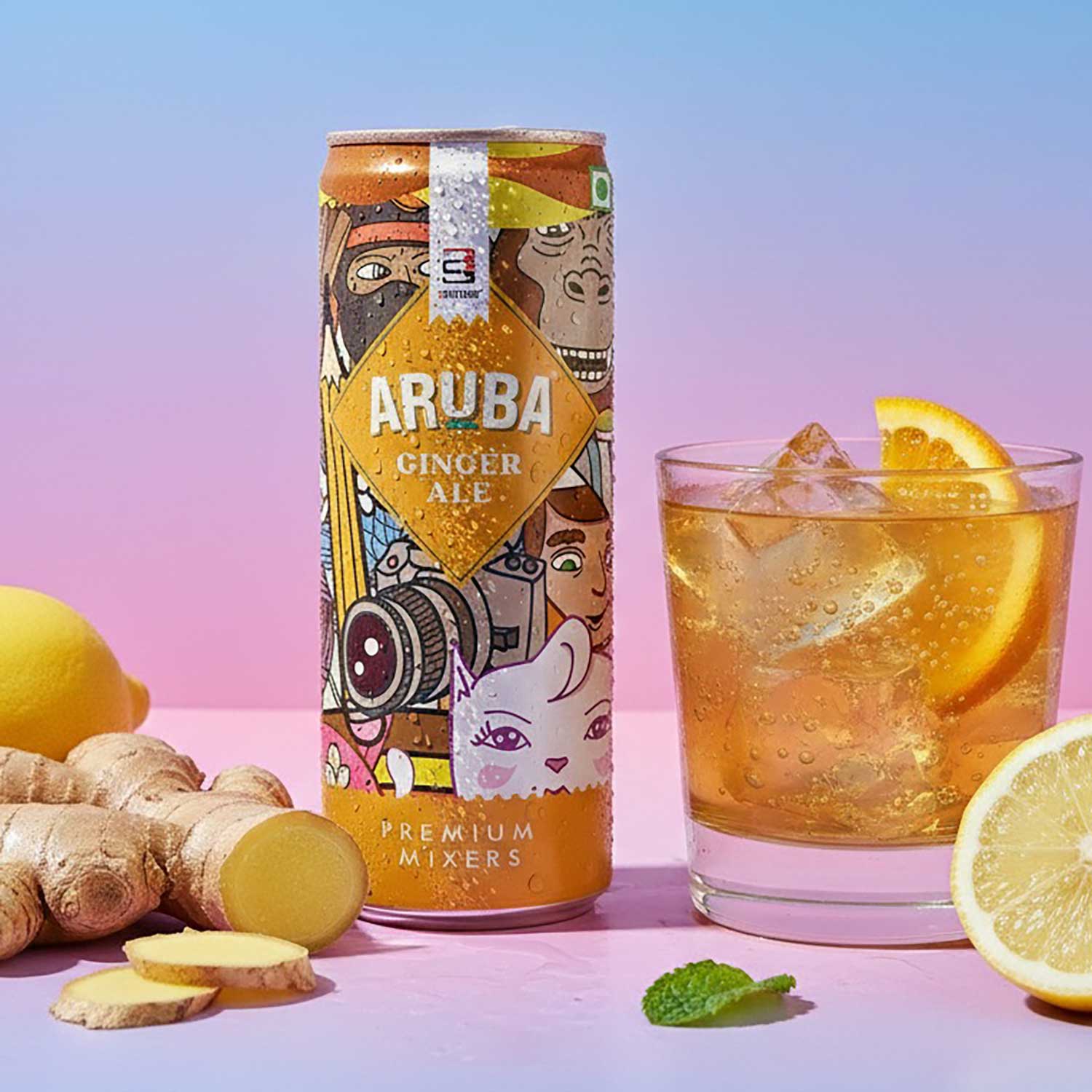 Aruba – Ginger Ale Mixer (12 Cans)